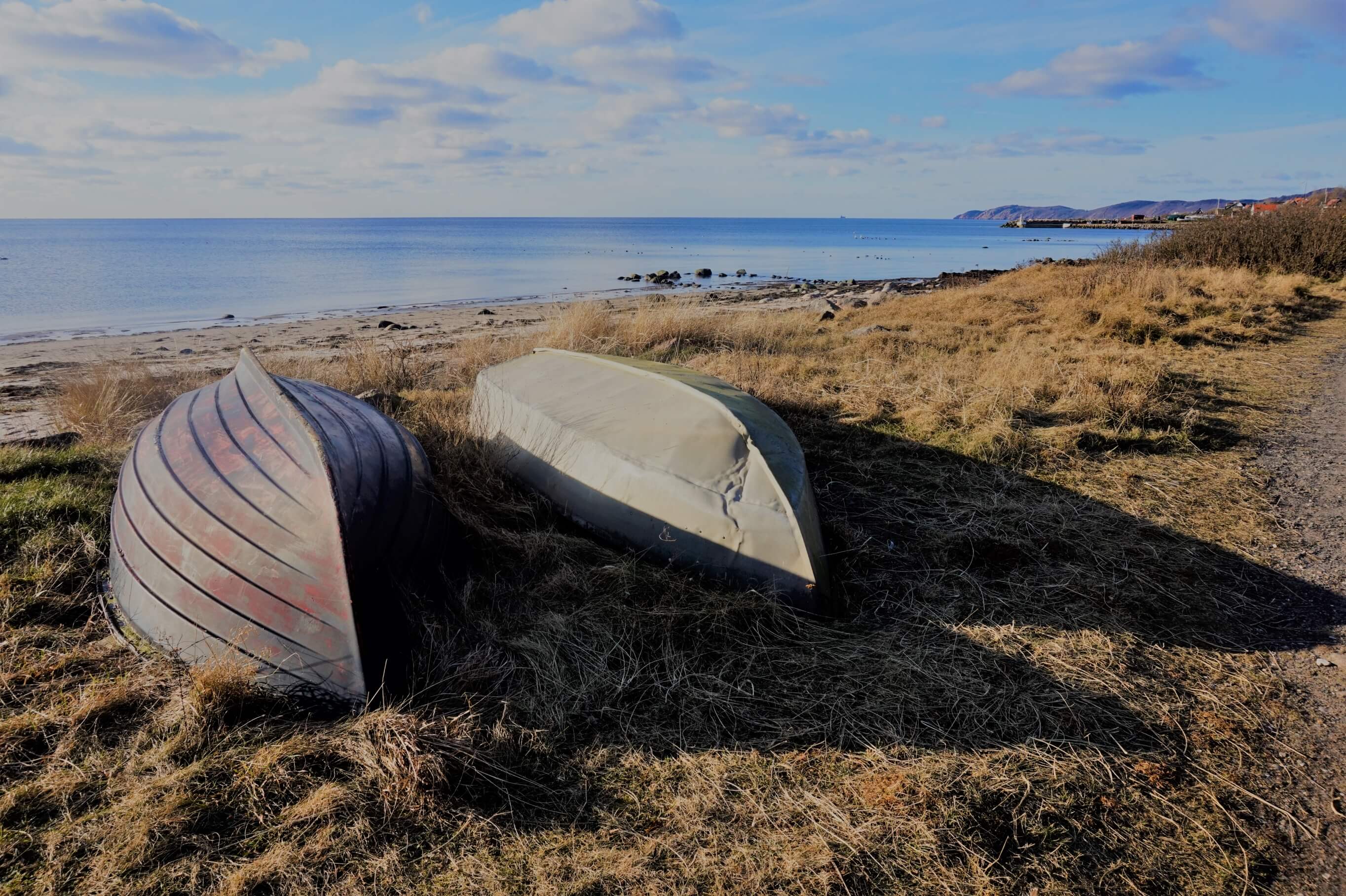 Bild föreställer strand, hav och ekor - fotad av Johanna Ygemar